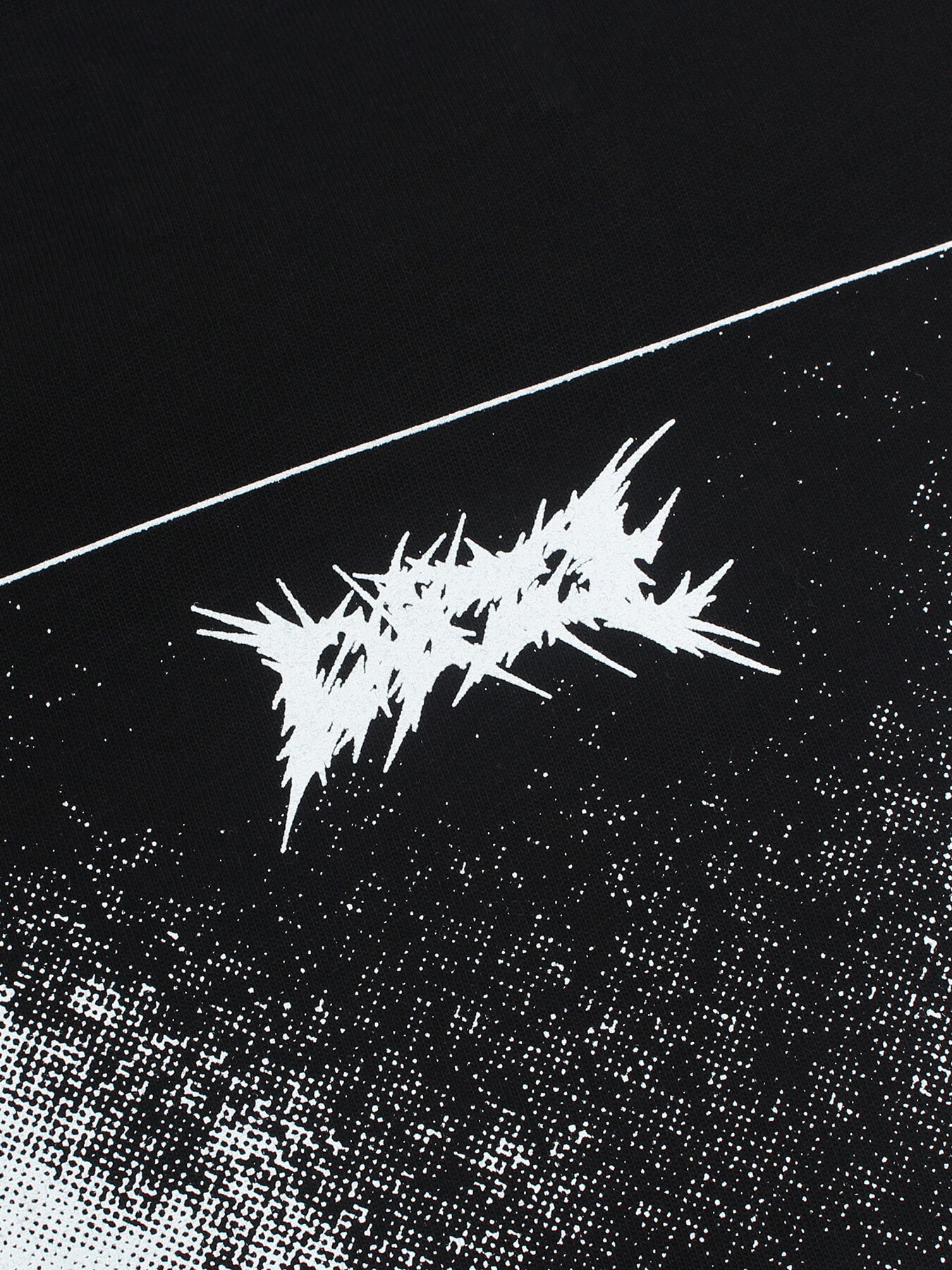 Лонгслив CROSSING IN THE SKY