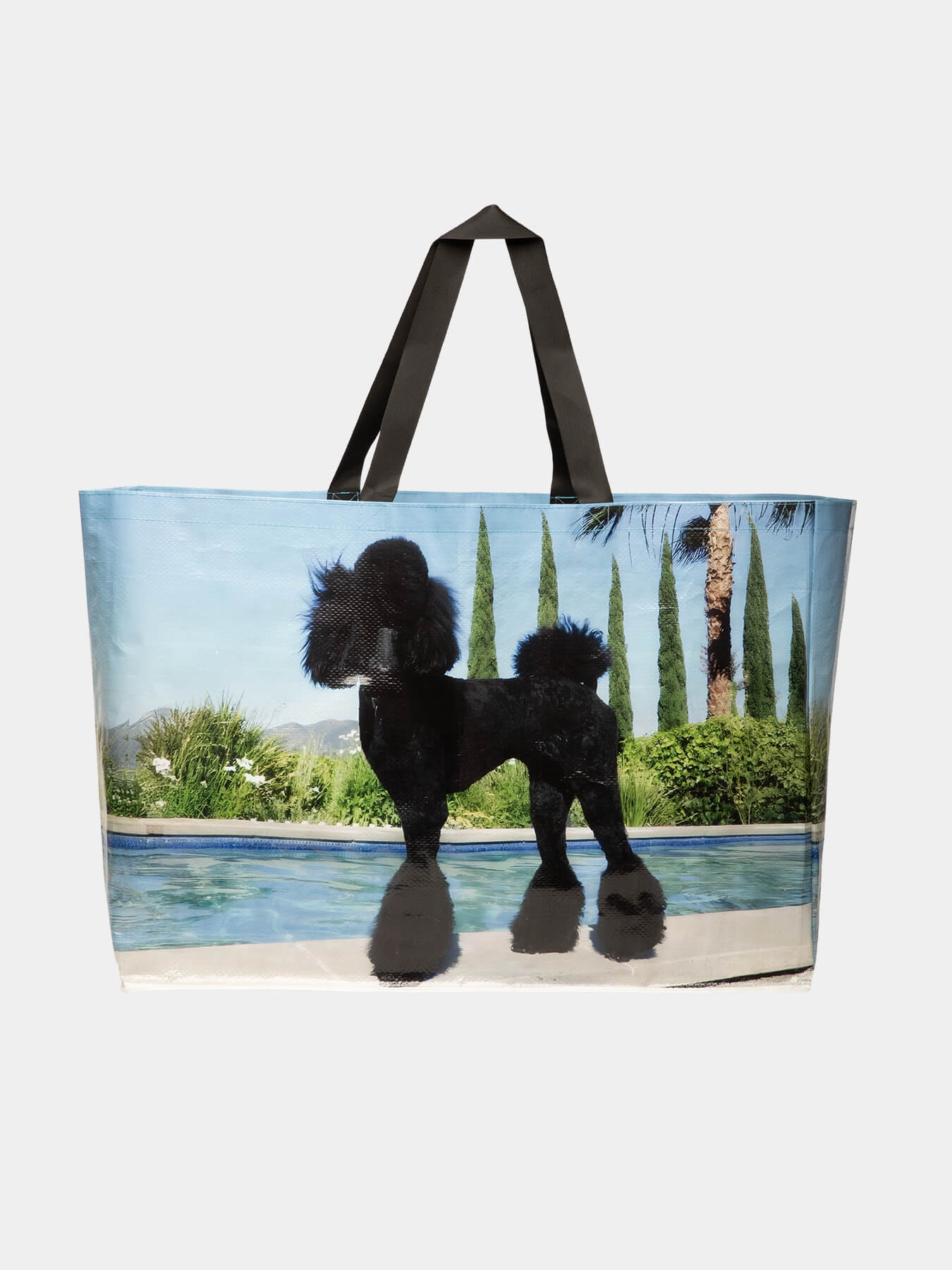 Сумка c пуделем возле бассейна