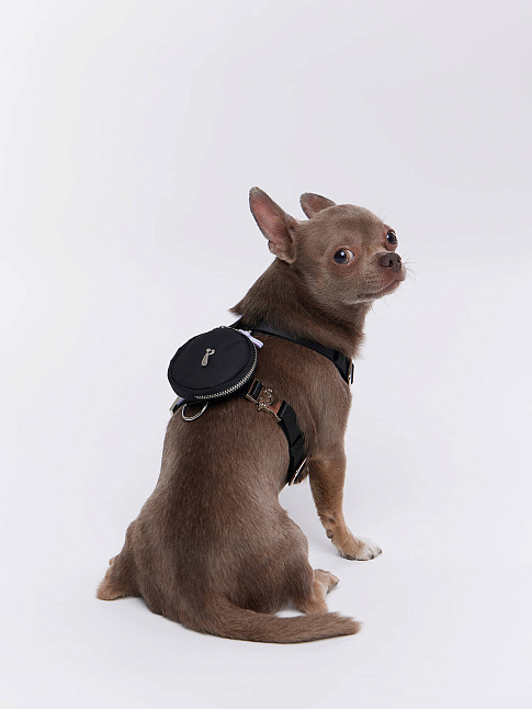 Анатомическая шлейка THE BEST COMPANION (размер XS, цвет Черный)