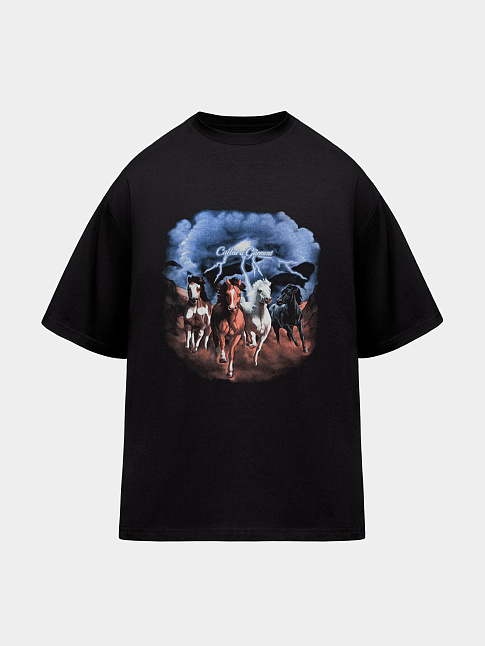Футболка HORSES PEACH EFFECT (размер XL, цвет Черный)