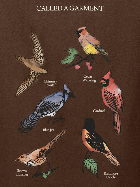 Футболка BIRDS (размер M, цвет Коричневый)