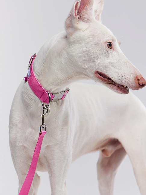 Ошейник SAFETY IN STYLE (размер S, цвет Розовый)