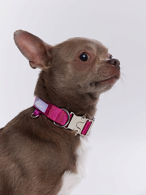 Ошейник SAFETY IN STYLE (размер S, цвет Розовый)