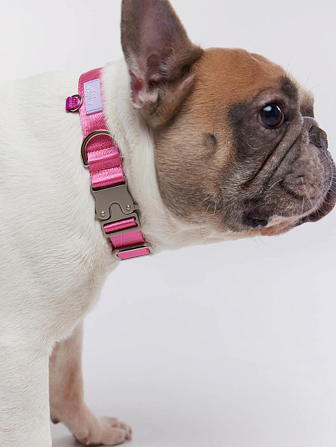 Ошейник SAFETY IN STYLE (размер S, цвет Розовый)